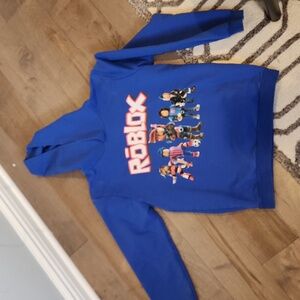 Light hooded sweatshirt